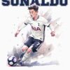 Sonaldo T-shirt